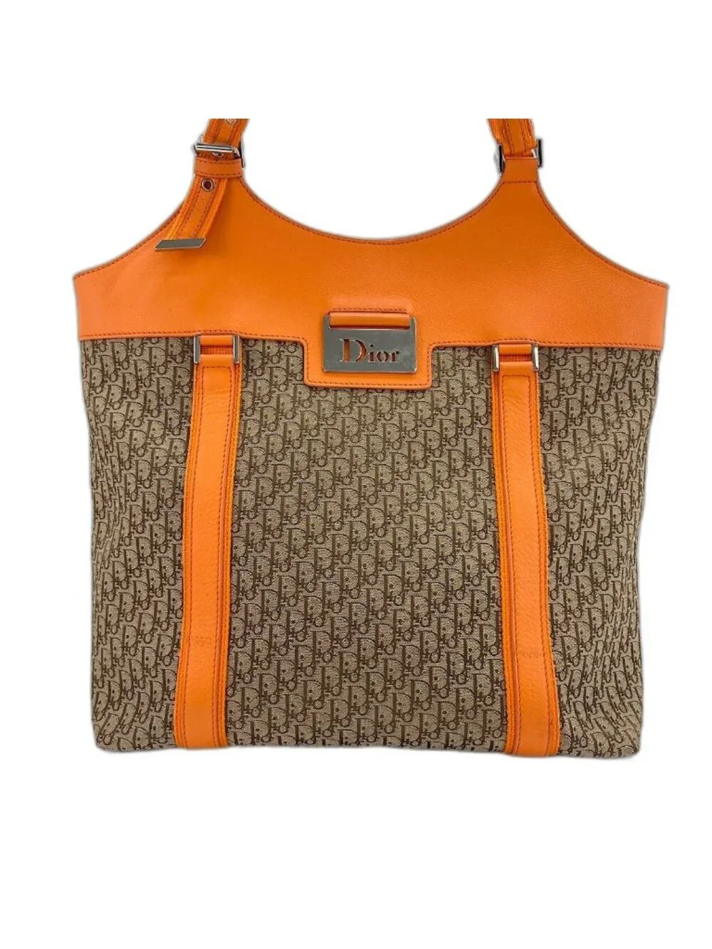 Dior Tote Street Chic Trotter